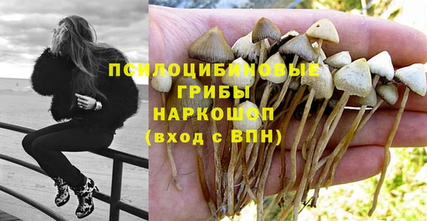 ешки Аркадак