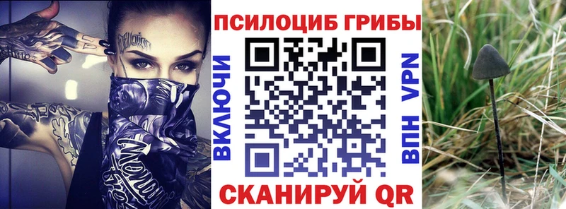 блэк спрут вход  Соликамск  Галлюциногенные грибы GOLDEN TEACHER 